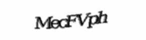 Security check image, please type the characters shown