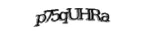 Security check image, please type the characters shown