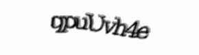 Security check image, please type the characters shown