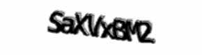 Security check image, please type the characters shown
